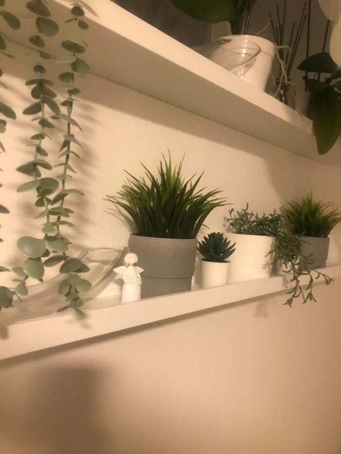 Apartman Vervis فاغاشدين المظهر الخارجي الصورة